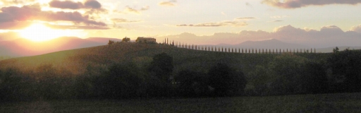 cypress sunset