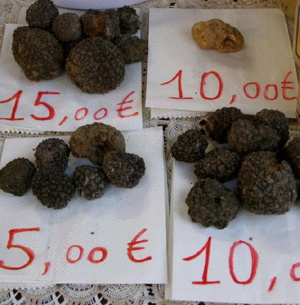 apecchio more truffles black