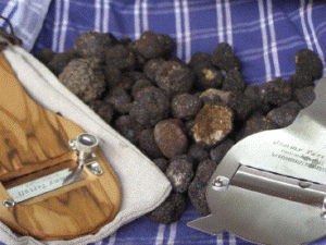 apecchio truffles