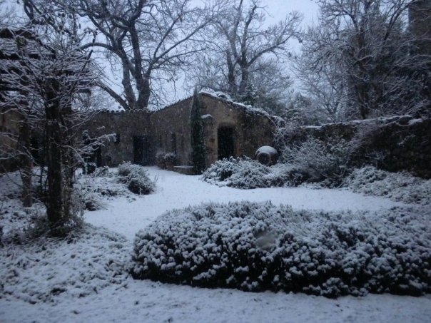 gardensnow gardensnow