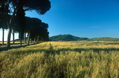 Road to l'andana