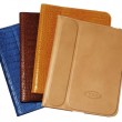 tods_ipad_cases