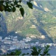 Amalfi Lemon Grove