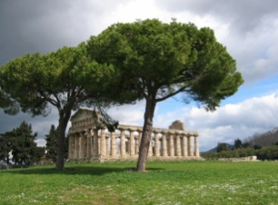 Paestum and the ruins of the Temple of Athena