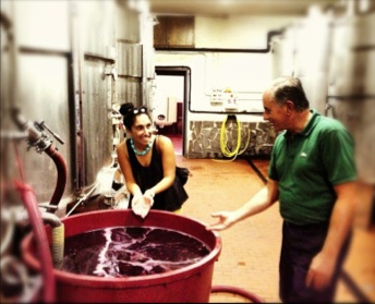 My swimming pool of red wine