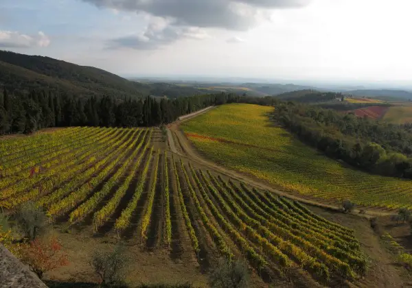 View from Brolio Castle