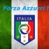 Forza Azzurri