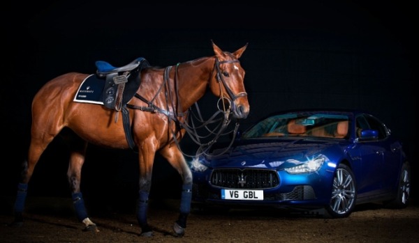 Maserati.luxury.polo.horse.saddle