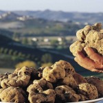 Experience White Truffle Season