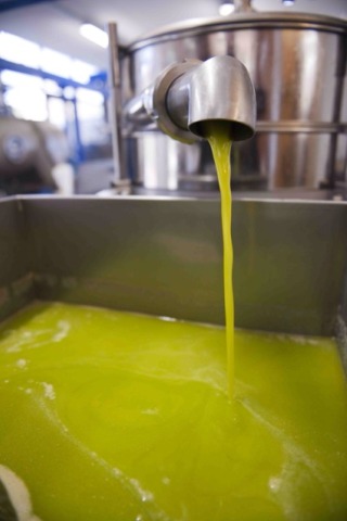 #5 Extra Virgin Olive Oil
