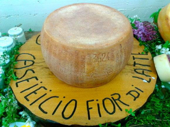 Fior di Latte Dairy Collection Wheel 2003