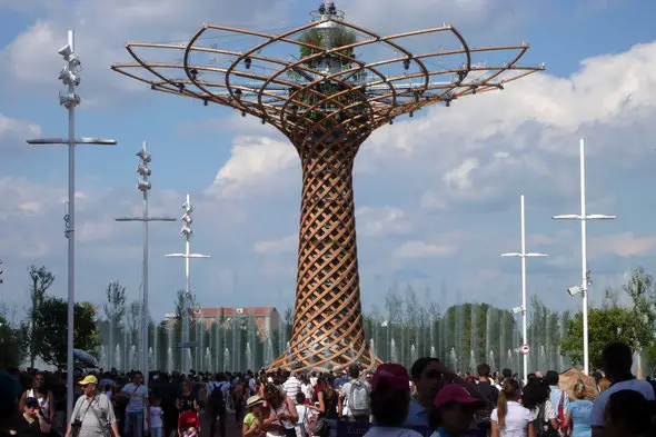 Expo Milano tree of life