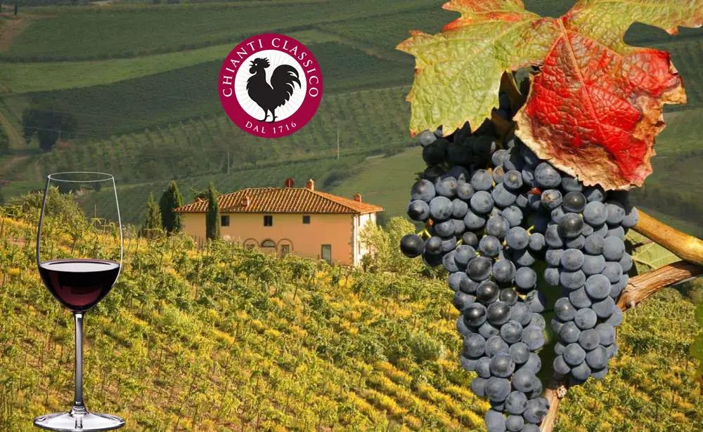 chianti-classico